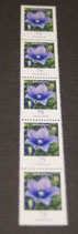 Bund 2835  75 ct  Ballonblume
