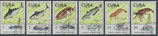 Cuba -  Fisch - Garnelenfang