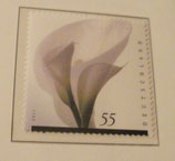 Bund 2894    55 cent  Trauermarke  **