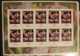 Bund 3088 Klb 28 ct Tausendgüldenkraut
