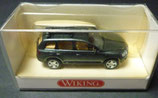 WW2 0060 02 29 VW Touareg  mit Surfbrett