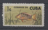 Cuba -  Fisch