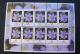 Bund 2485  40 ct KLB Leberblümchen ESST Bonn