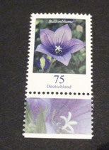 Bund 2835 75 ct Ballonblume