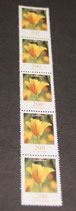 Bund 2568 200 ct  Goldmohn