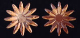 SONNENBLUME ORANGE