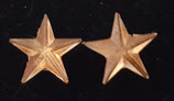 SUPERSTAR MINI GOLD