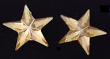 STAR MAXI GELB