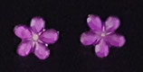BLUME BIG MIDI VIOLETT