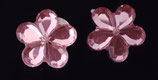 BLUME MINI ROSA