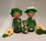 Primel Familie