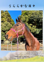 ハルウララ メモリアルフォトブック