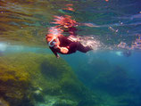 Tour de Snorkeling en Los Abrigos, Abades o Las Maravillas