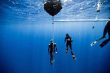 Book your Freediving session Private or in groups