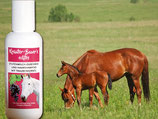 Stutenmilch-Duschbad und Haarshampoo (mit Traubenkernöl) 200 ml