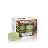 Yankee Candle - Lemongras & Ginger - 12er Packung