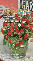 Земляника Ремонтантная МАРМЕЛАДНАЯ