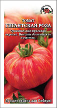 Томат ГИГАНТСКАЯ РОЗА (Золотая Сотка Алтая)