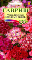 Флокс Друммонда ЗВЕЗДНЫЙ ДОЖДЬ