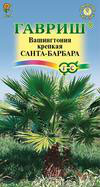 Вашингтония Крепкая САНТА-БАРБАРА
