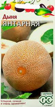 Дыня ЯНТАРНАЯ