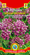 Ваточник инкарнатный