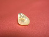 shark head(ピアス)