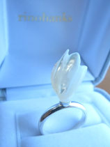 Airplants(ring)