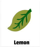 Blatt lemon