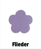 Blume flieder