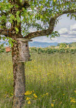 Postkarte-Vogelhäuschen