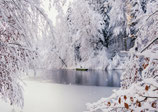 Postkarte-Winter am Weiher
