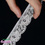 Encaje 5555 - 3 cm