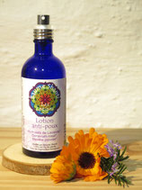 Lotion anti-poux