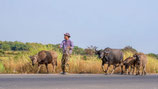 Discover Cambodia | Experience Cambodia.