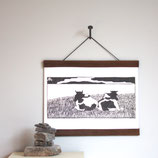 Poster Clip Bruin
