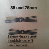 Schnurrhaare