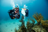PADI AWARE Dive Against Debris (Nur Theorie)