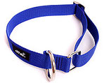 Halsband, geschlossen