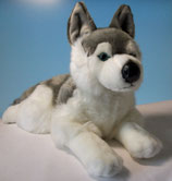 Husky, liegend