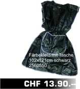 Farbkleid 2