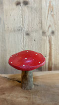 Fliegenpilz klein