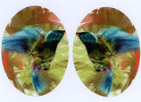 Patches Oval Kolibri