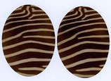 Patches Oval Zebra