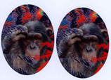 Patches Oval Affe