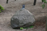 GUMMISTIEFEL - BLAU
