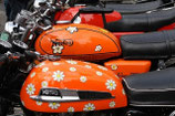 NORTON - ORANGE / RED