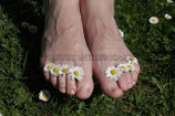FÜSSE MIT GÄNSEBLÜMCHEN  I