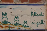 ATTENTI AI GATTI