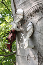 SCHUHE AM BAUM  I